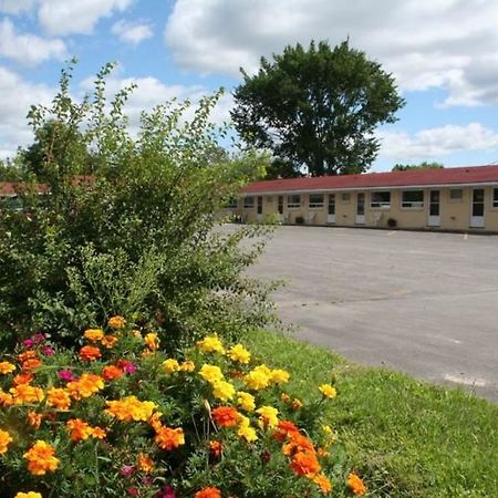 بيلفي Avalon Motel المظهر الخارجي الصورة